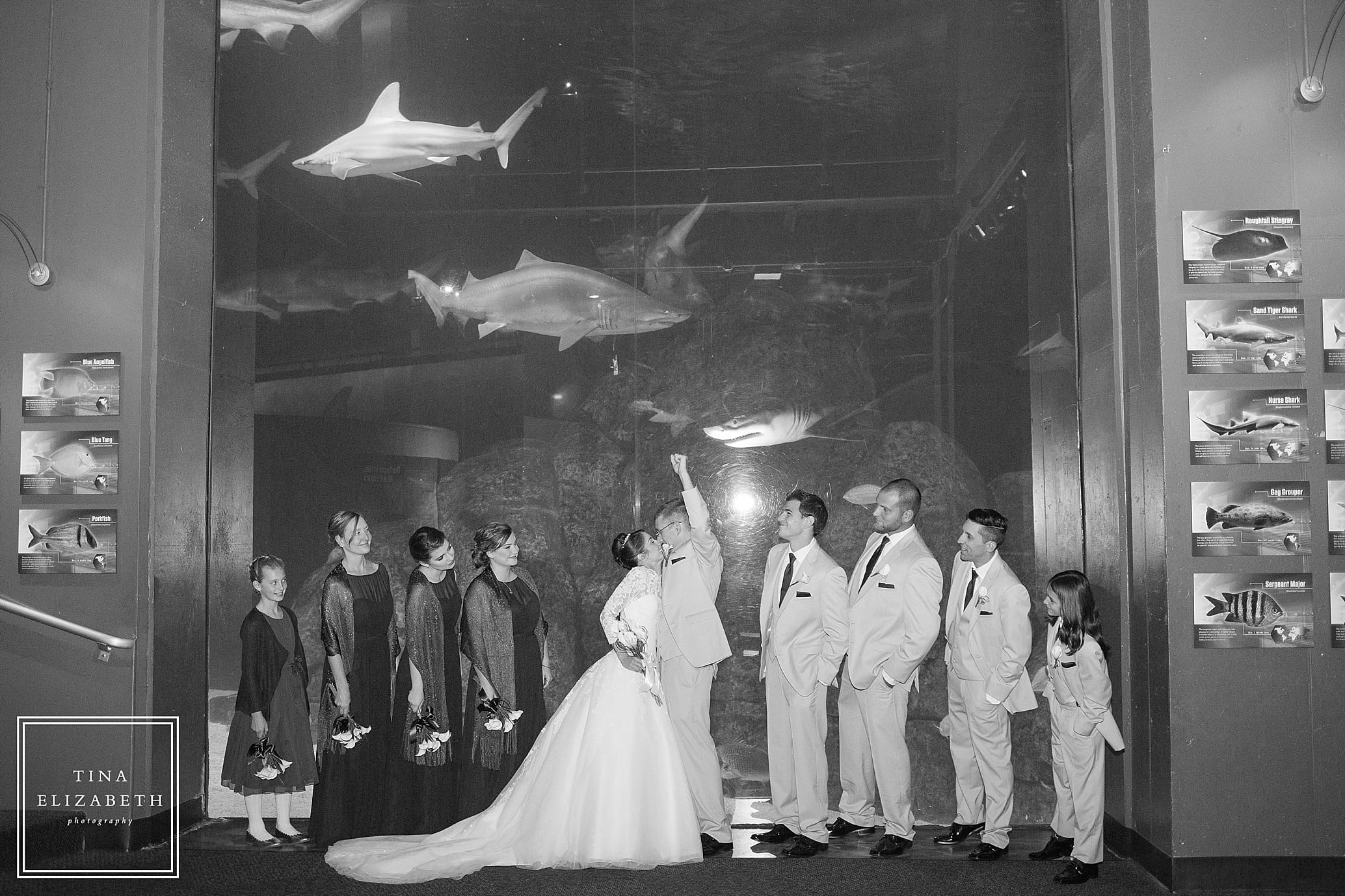 adventure-aquarium-wedding-photos-tina-elizabeth-photography_1054
