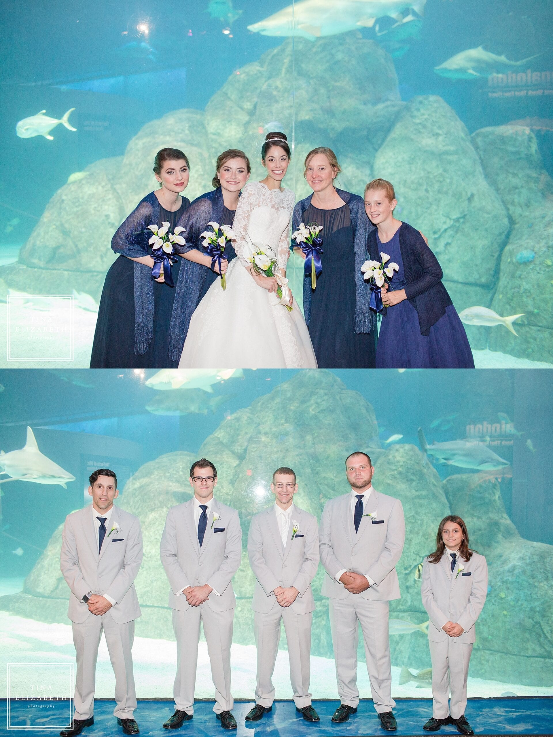 adventure-aquarium-wedding-photos-tina-elizabeth-photography_1055