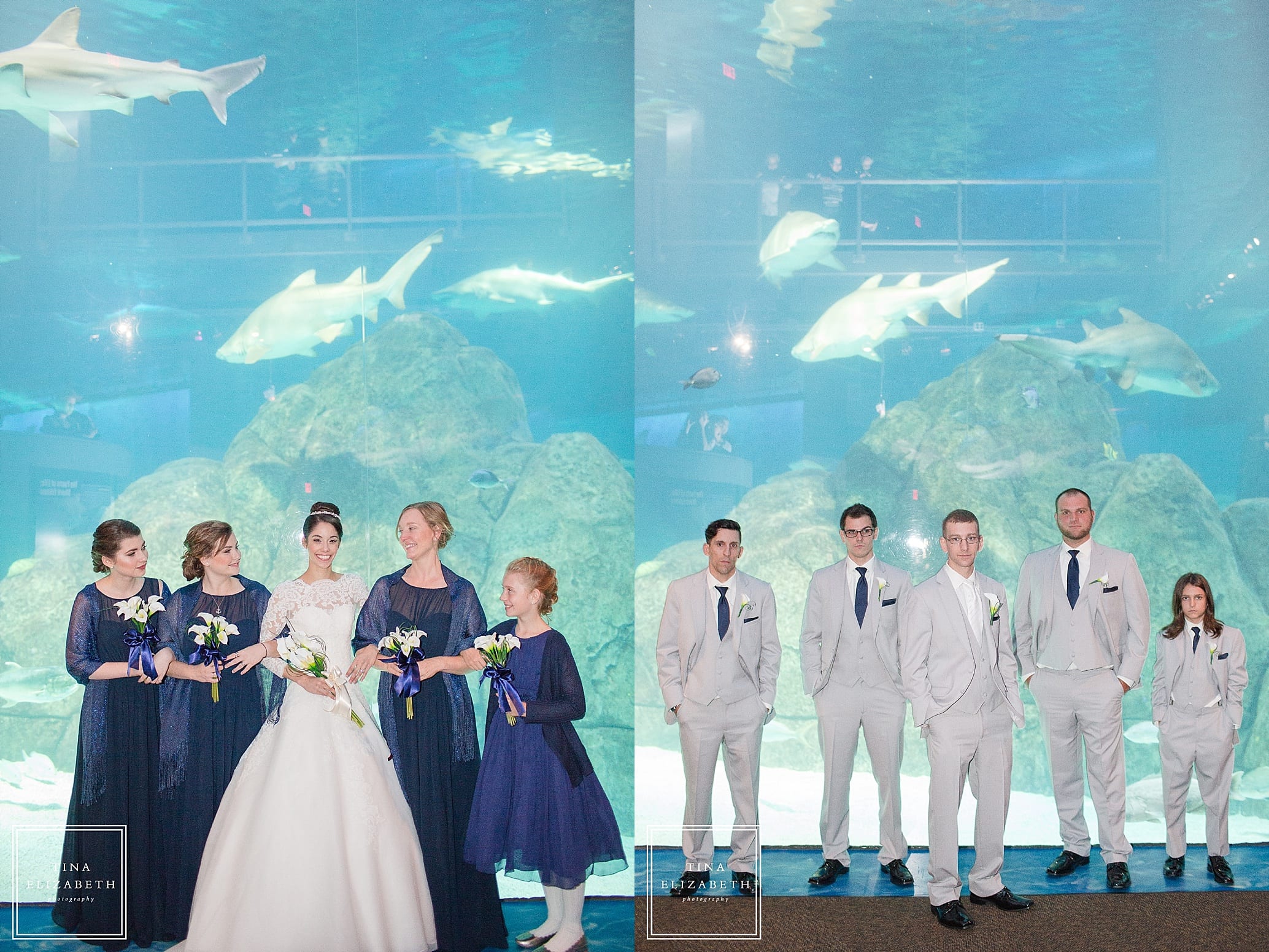 adventure-aquarium-wedding-photos-tina-elizabeth-photography_1058
