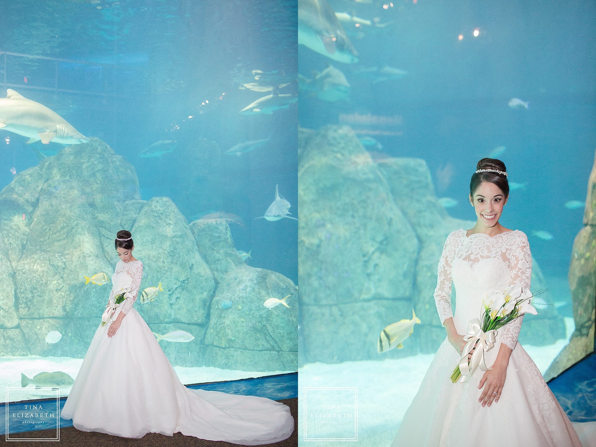 adventure-aquarium-wedding-photos-tina-elizabeth-photography_1059
