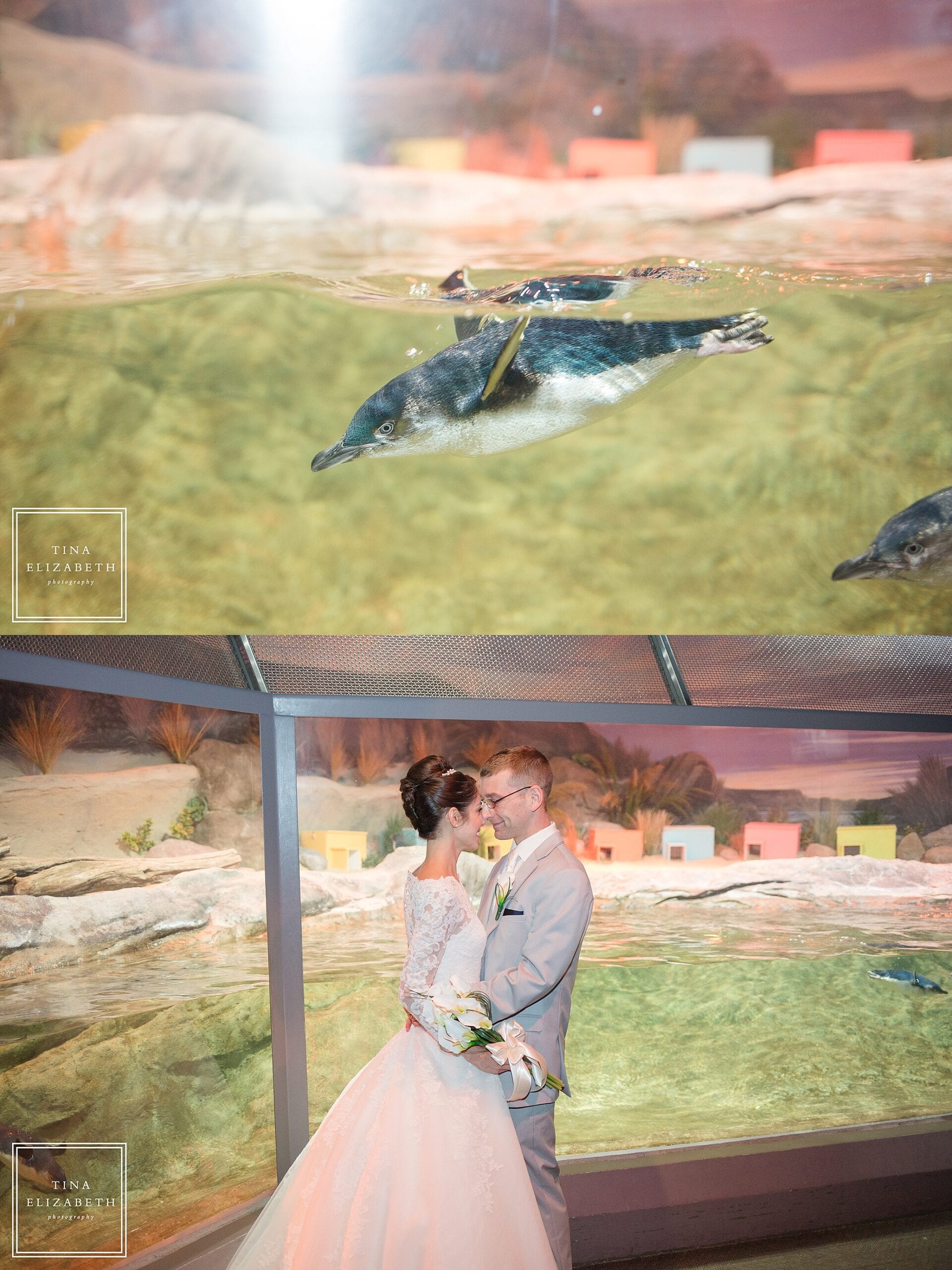 adventure-aquarium-wedding-photos-tina-elizabeth-photography_1061