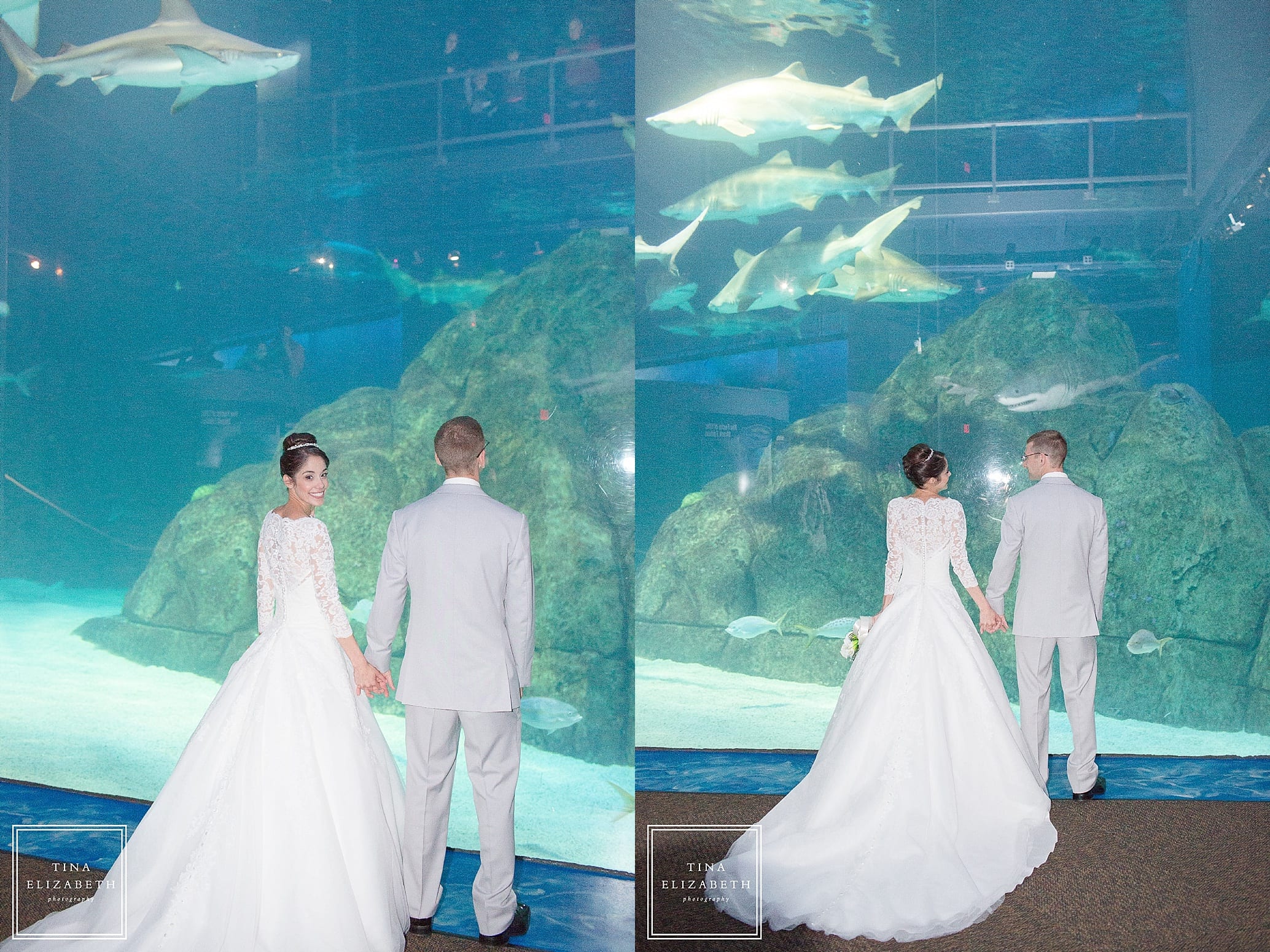 adventure-aquarium-wedding-photos-tina-elizabeth-photography_1064