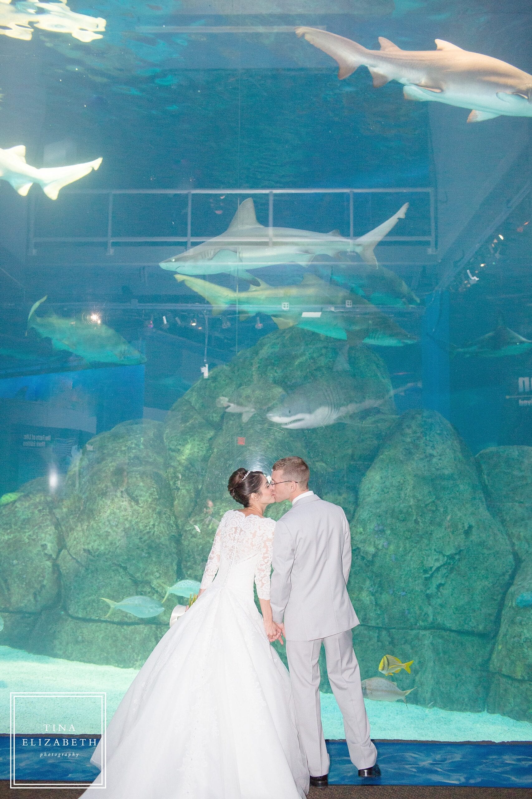 adventure-aquarium-wedding-photos-tina-elizabeth-photography_1065