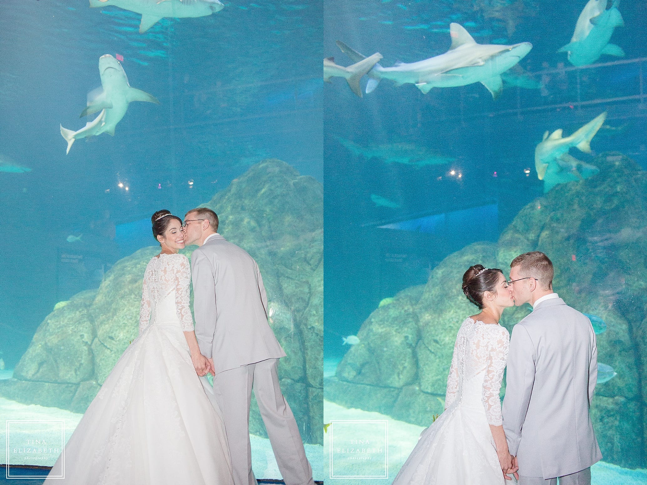 adventure-aquarium-wedding-photos-tina-elizabeth-photography_1067