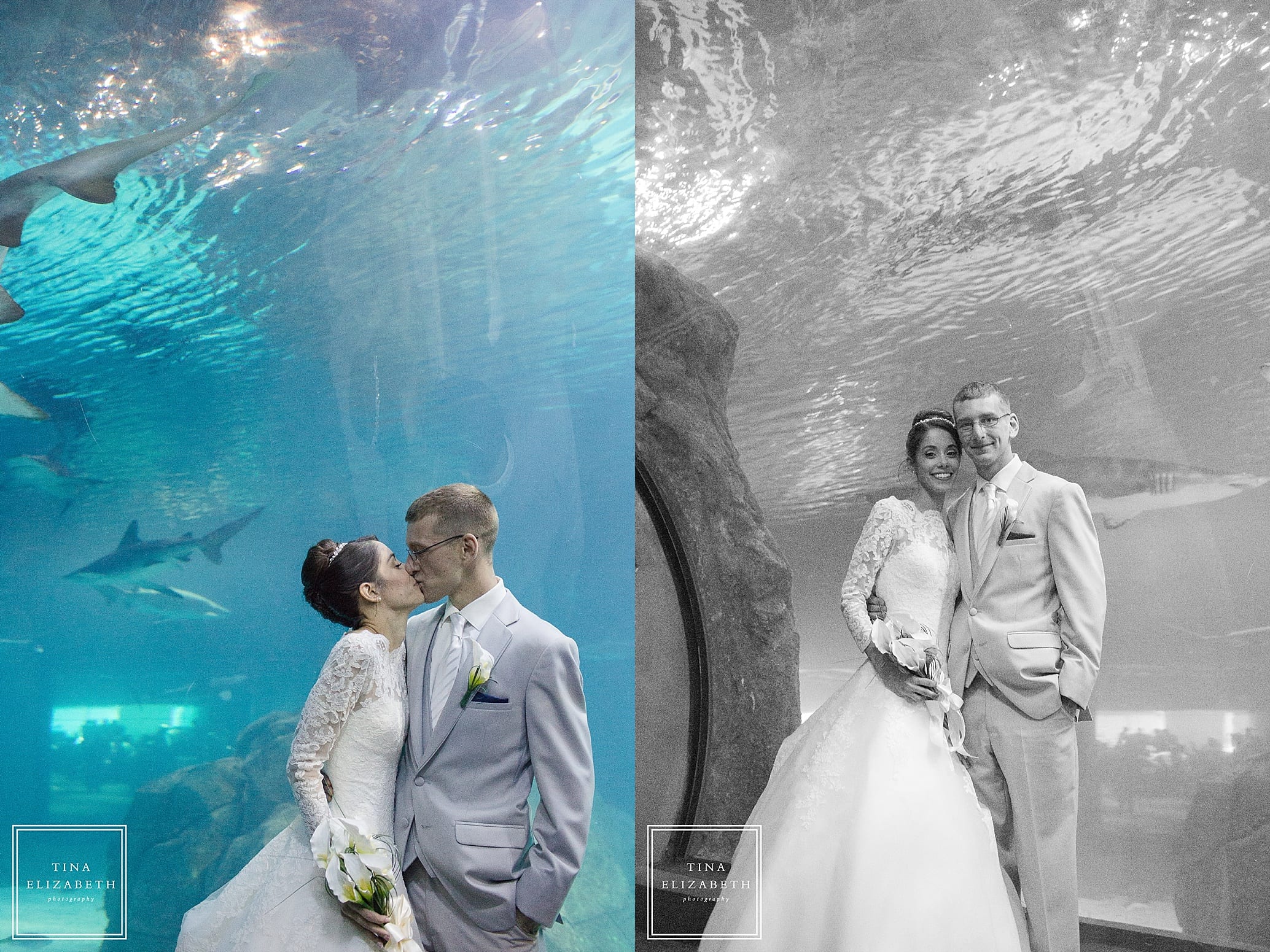 adventure-aquarium-wedding-photos-tina-elizabeth-photography_1080