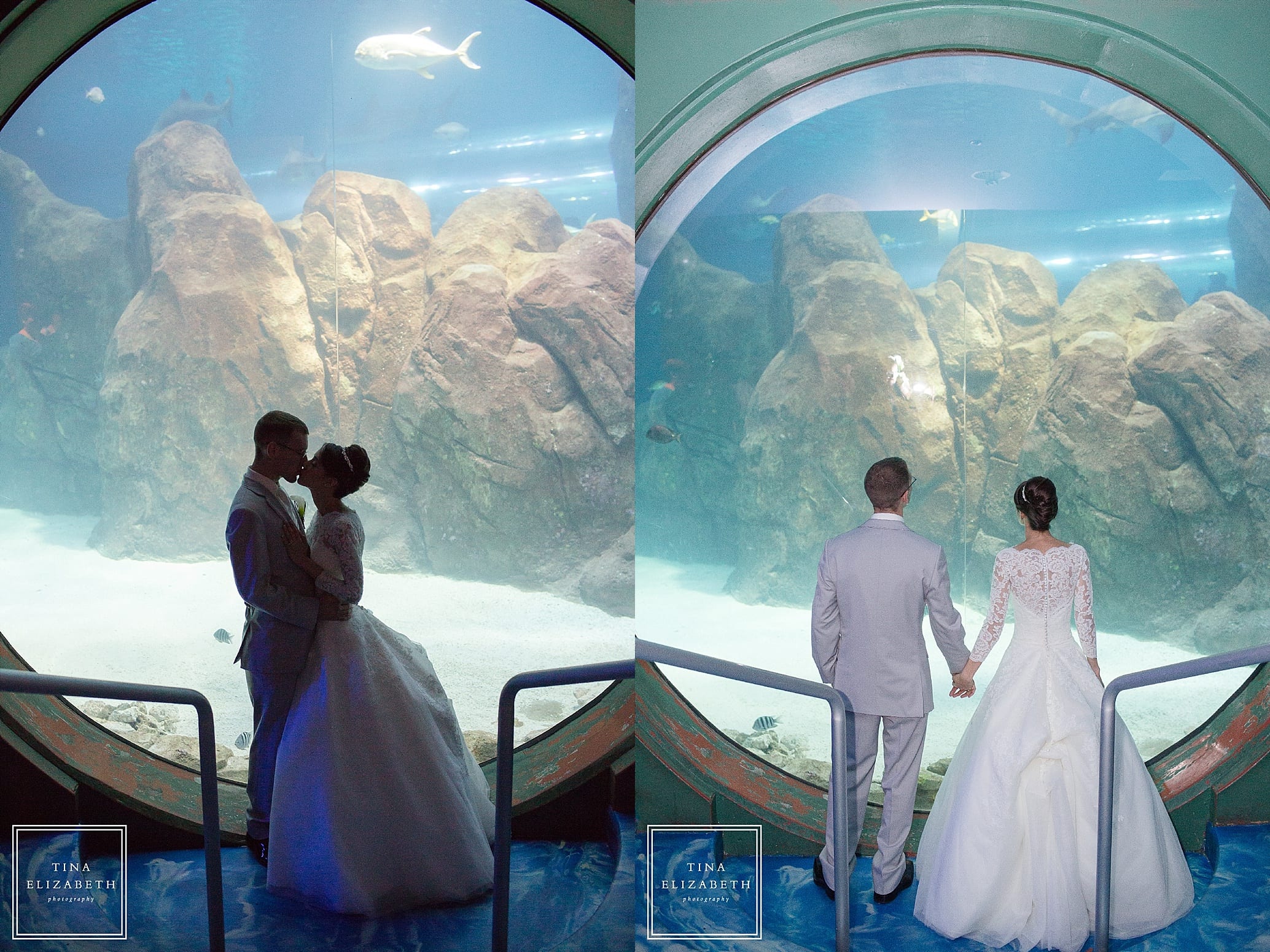 adventure-aquarium-wedding-photos-tina-elizabeth-photography_1086
