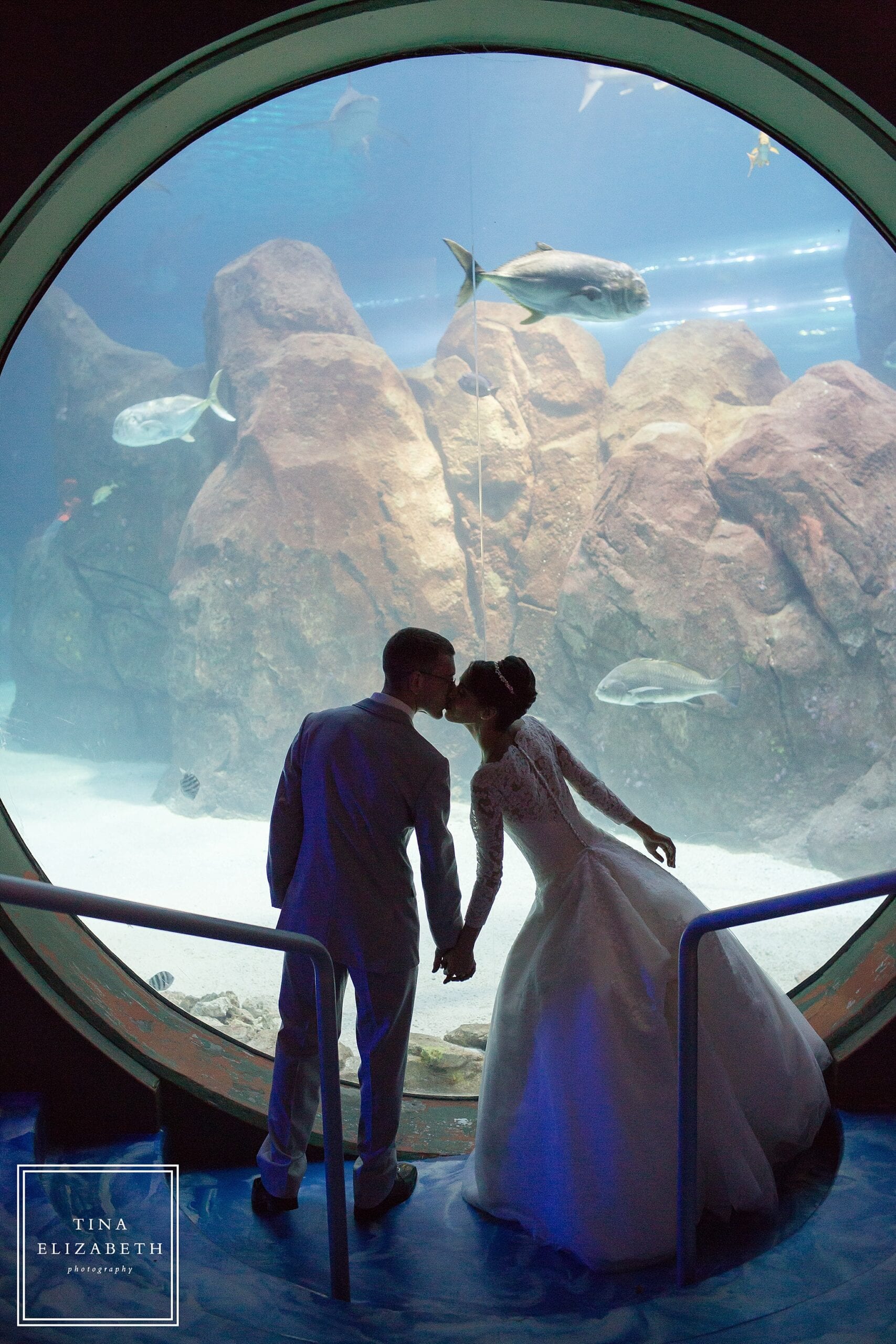 adventure-aquarium-wedding-photos-tina-elizabeth-photography_1087