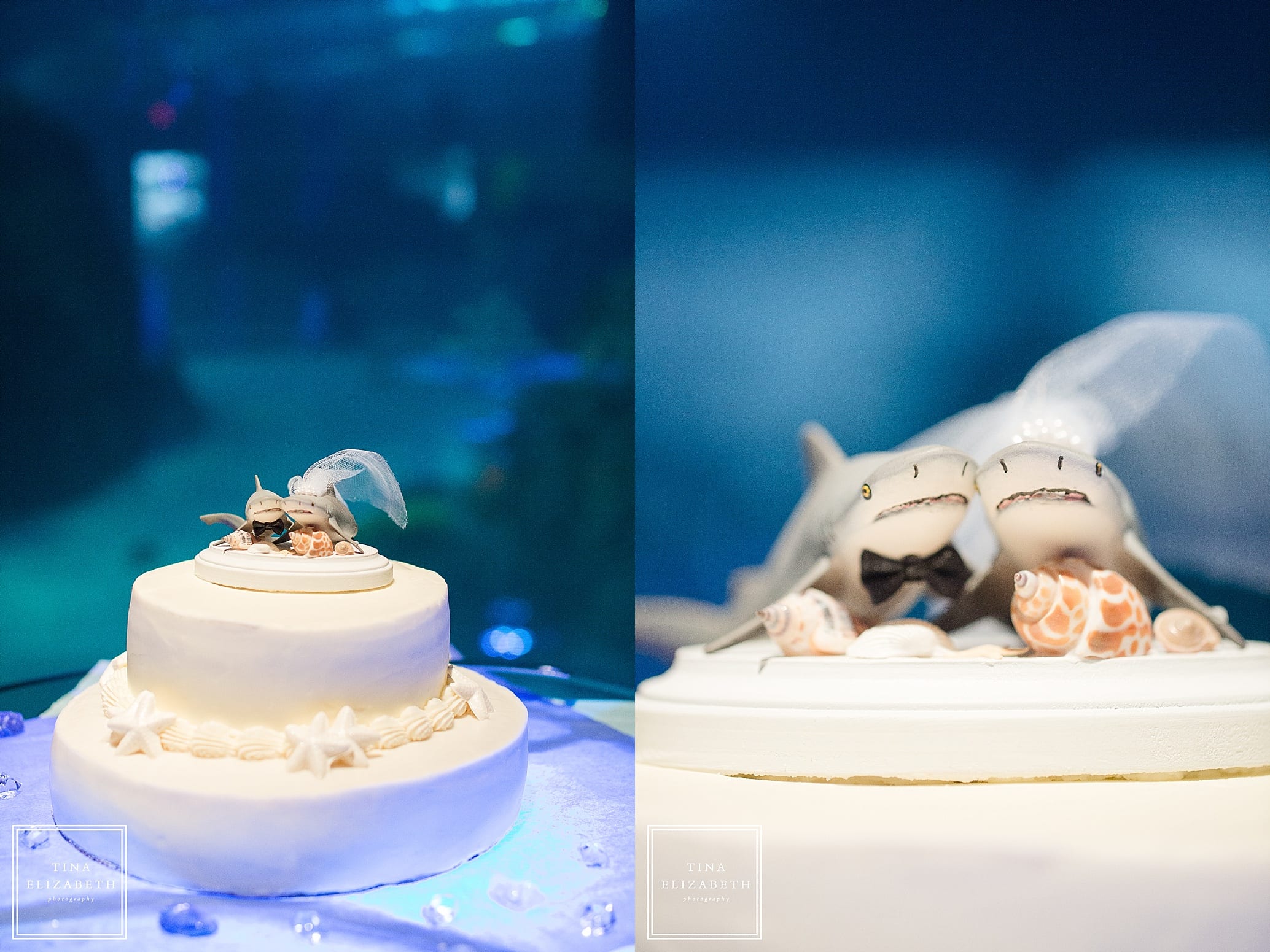 adventure-aquarium-wedding-photos-tina-elizabeth-photography_1095