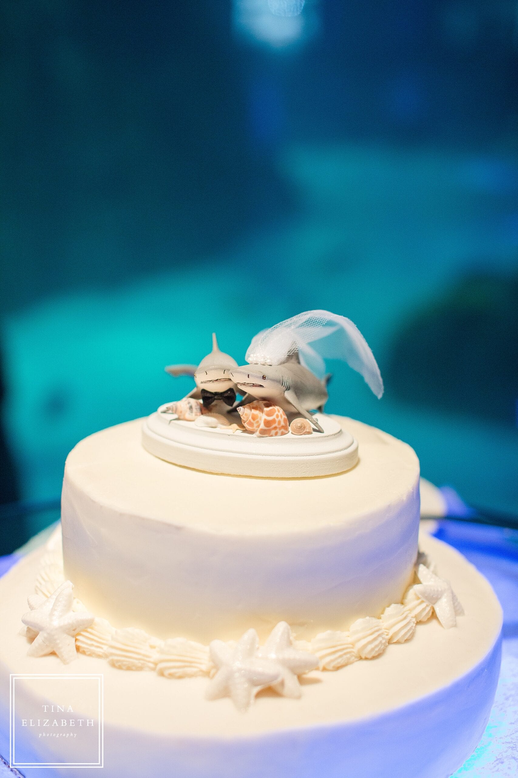aquarium wedding cake
