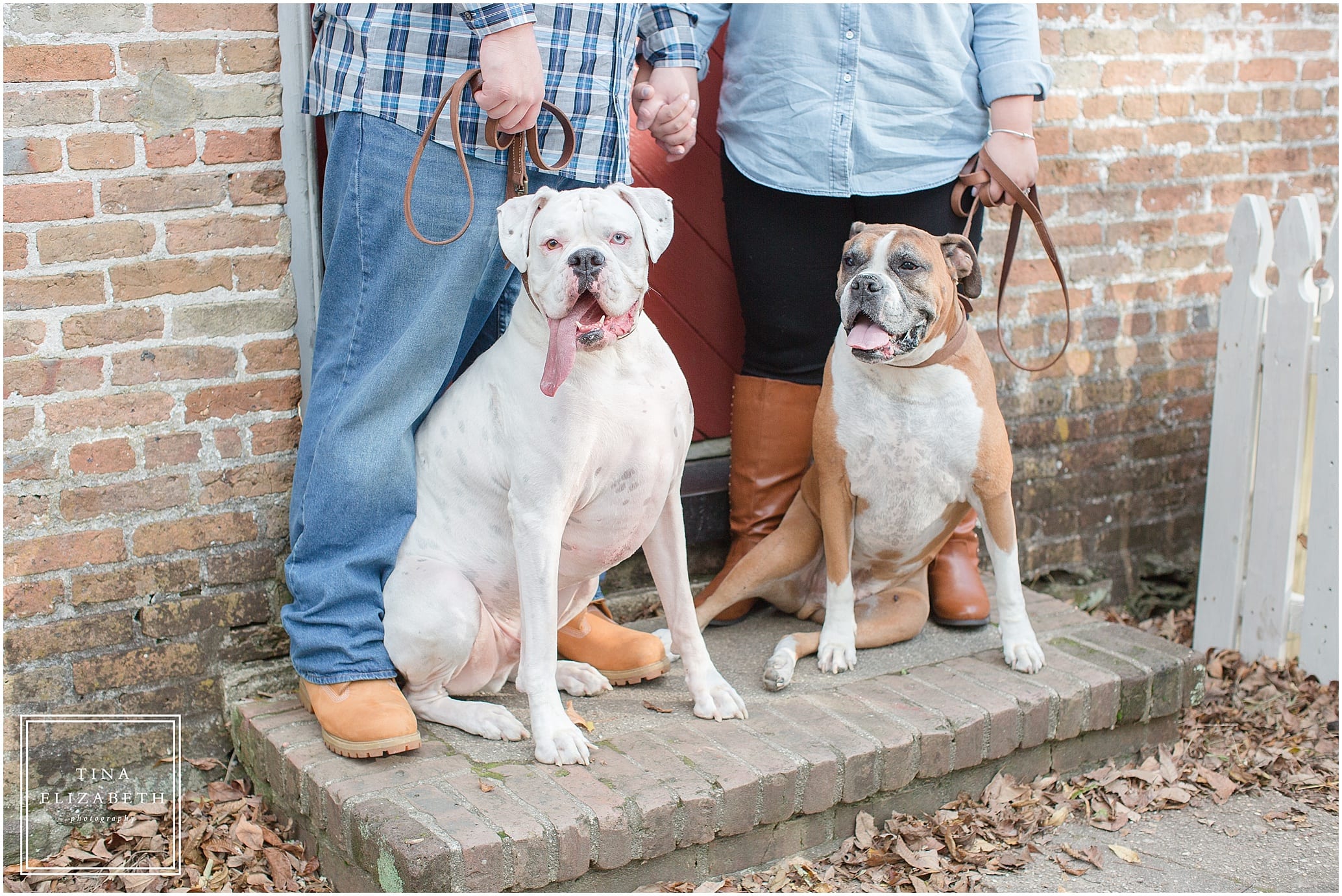 allaire-state-park-engagement-photos-tina-elizabeth-photography_1181