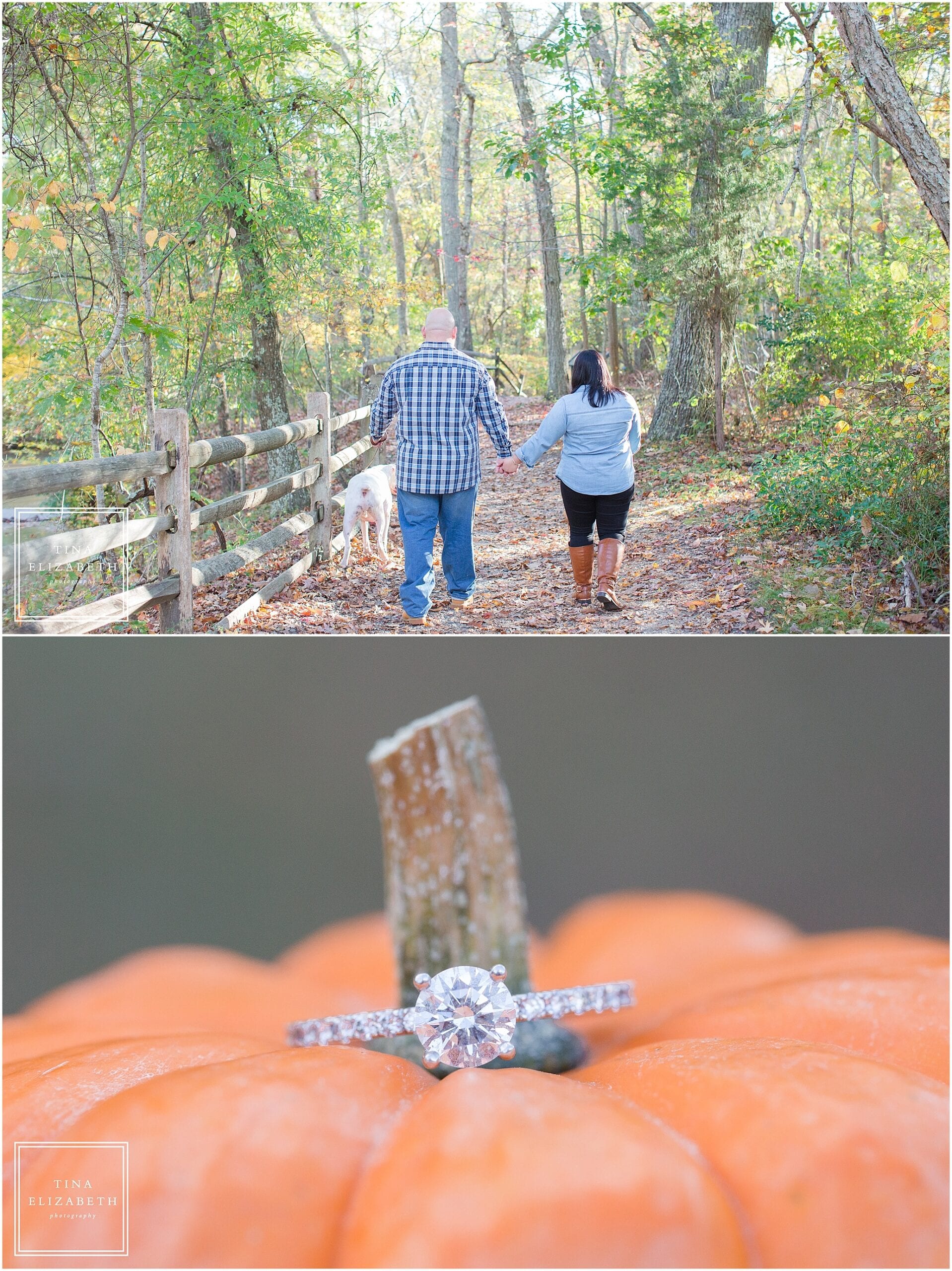 allaire-state-park-engagement-photos-tina-elizabeth-photography_1198