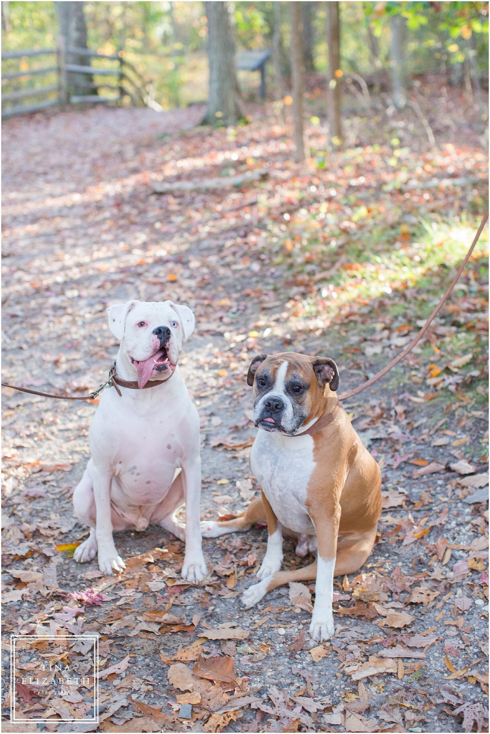 allaire-state-park-engagement-photos-tina-elizabeth-photography_1200