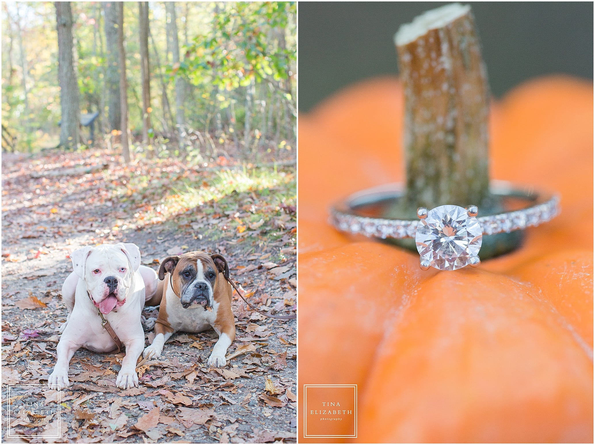 allaire-state-park-engagement-photos-tina-elizabeth-photography_1201