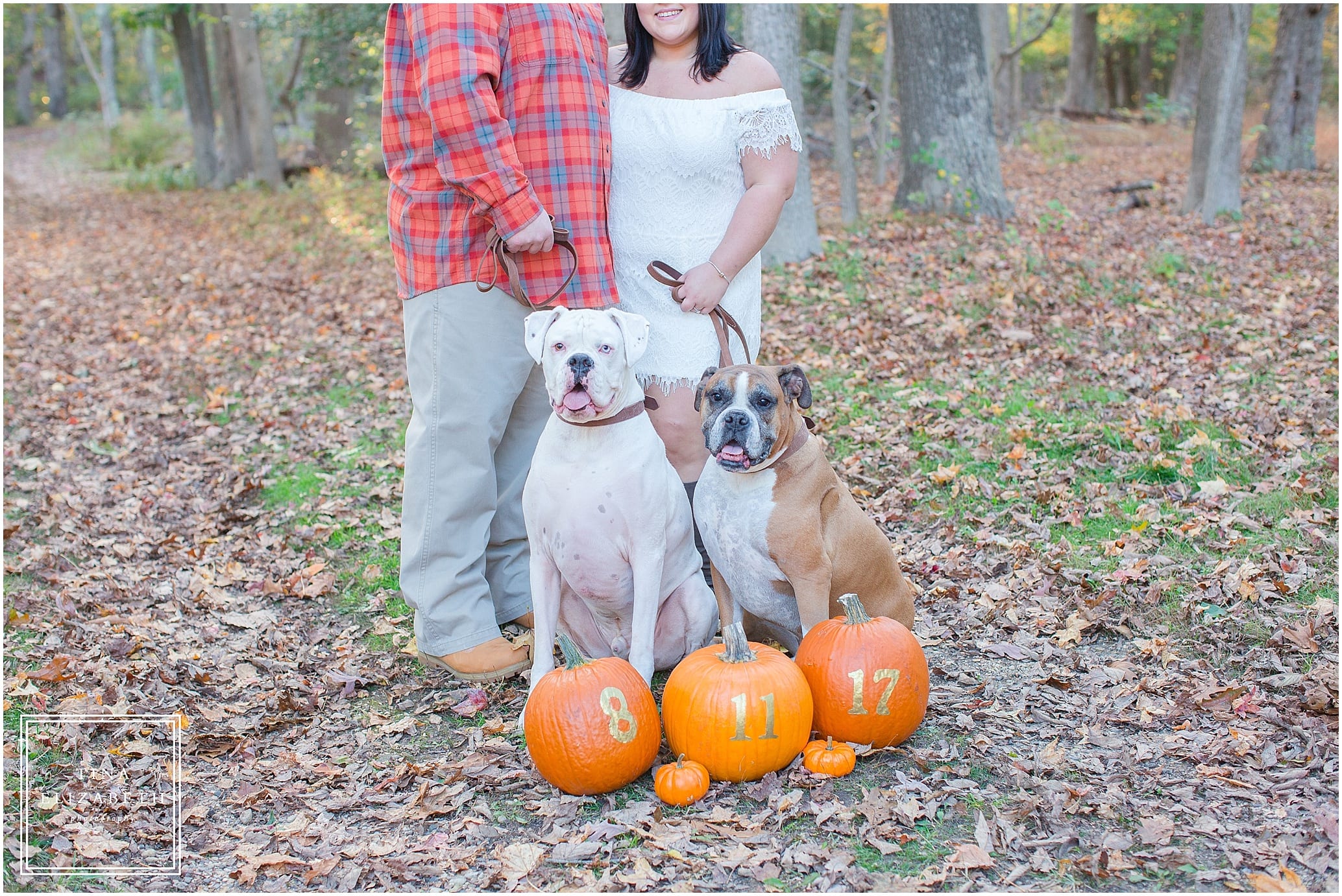 allaire-state-park-engagement-photos-tina-elizabeth-photography_1215