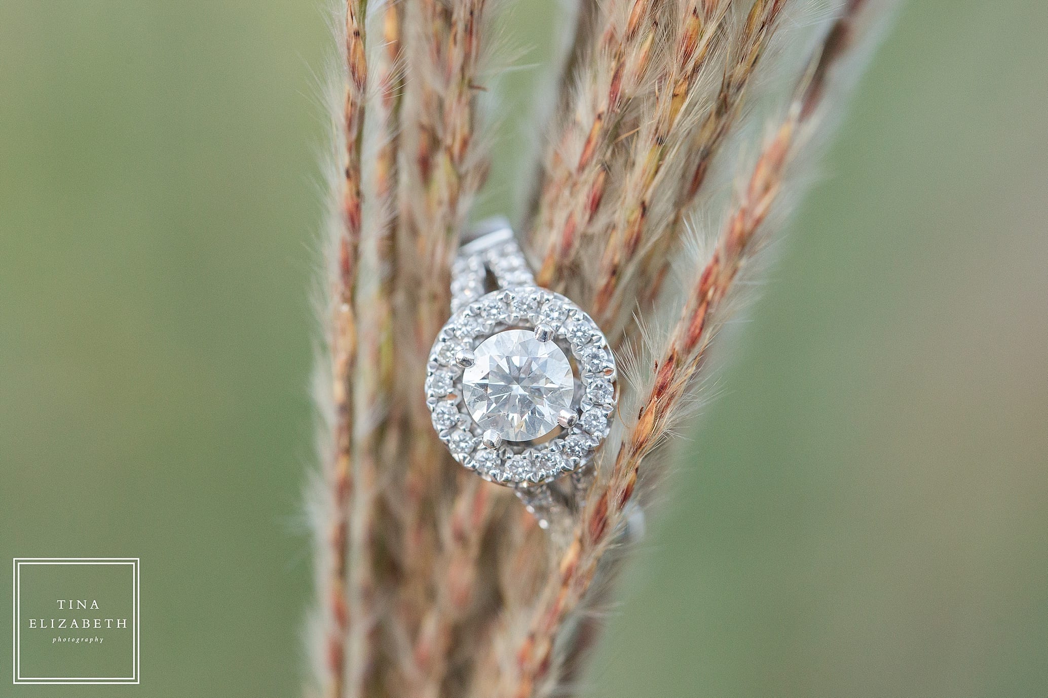 swartswood-state-park-engagement-photos-tina-elizabeth-photography_0781