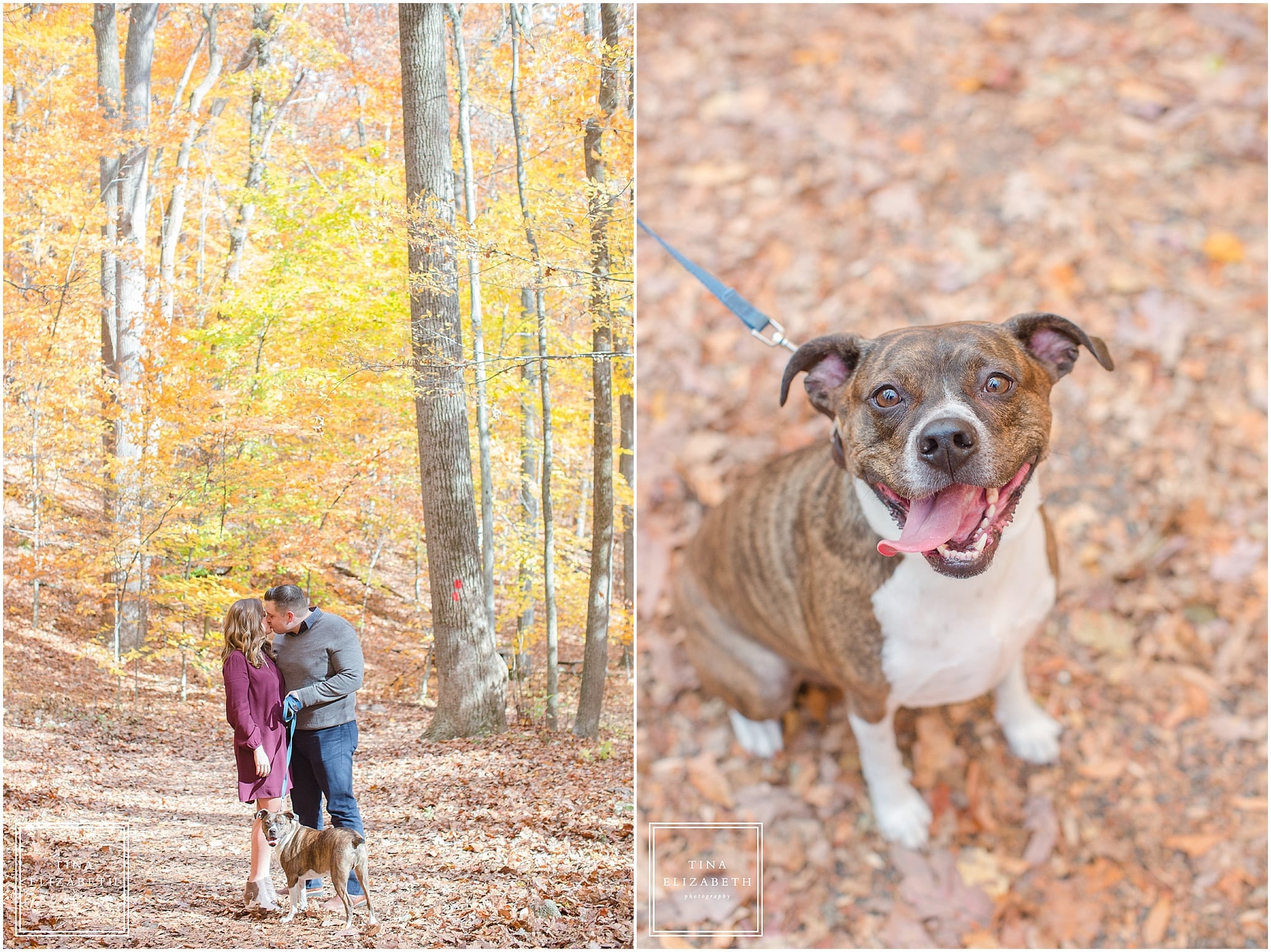 hacklebarney-state-park-engagement-photos-tina-elizabeth-photography_1648