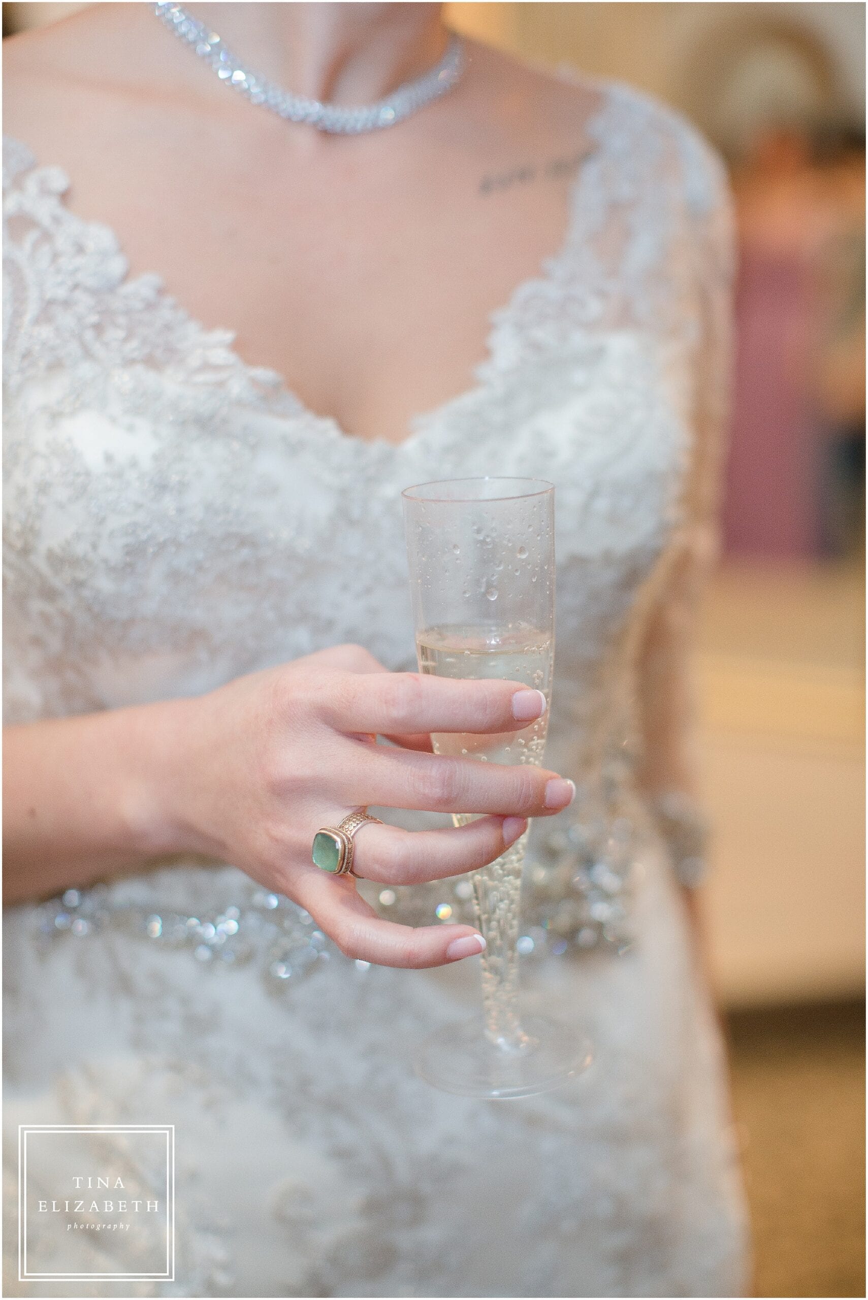 the-manor-wedding-photos-tina-elizabeth-photography_1251