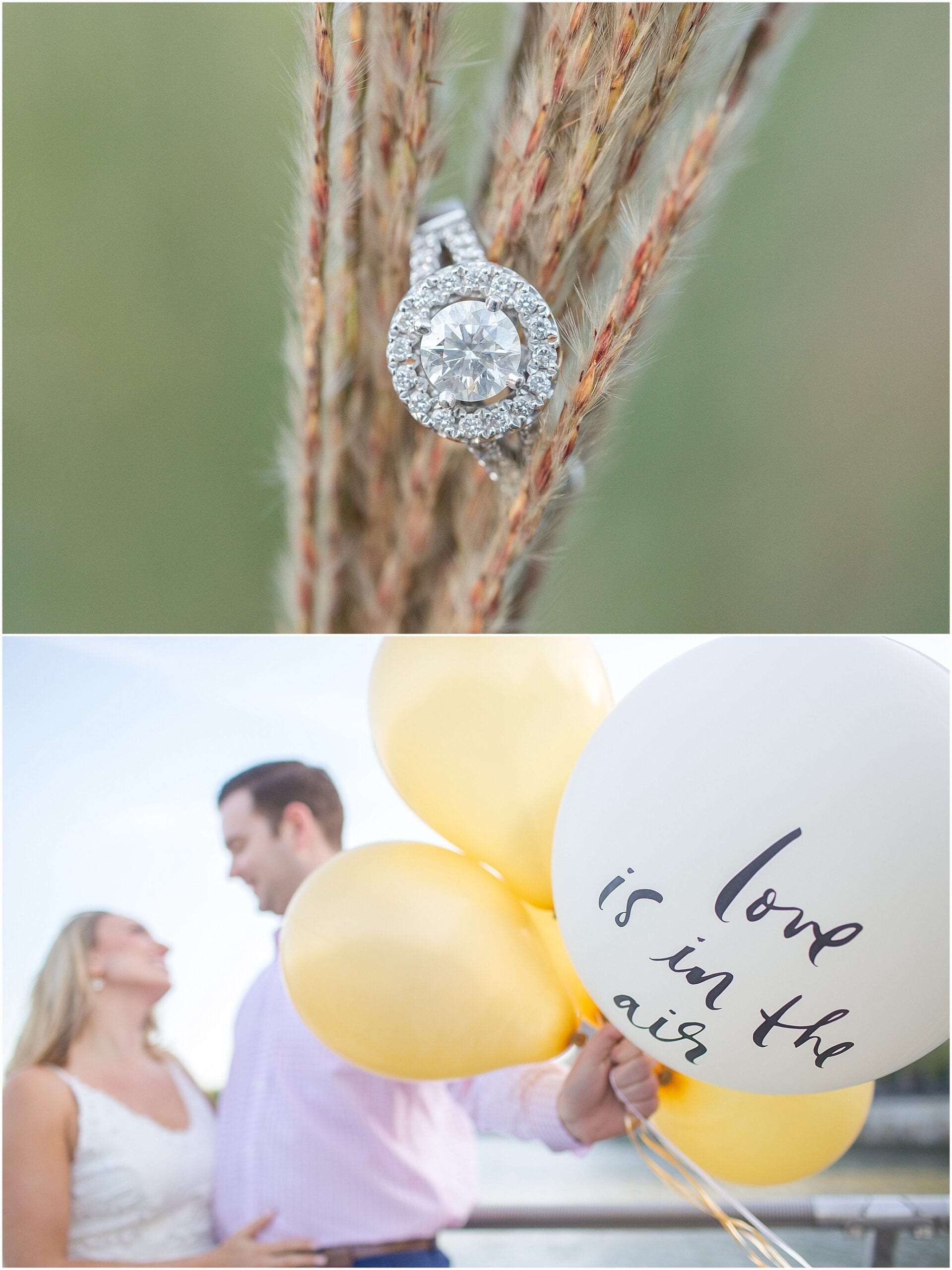 best-of-engagements-2016-tina-elizabeth-photography_2374