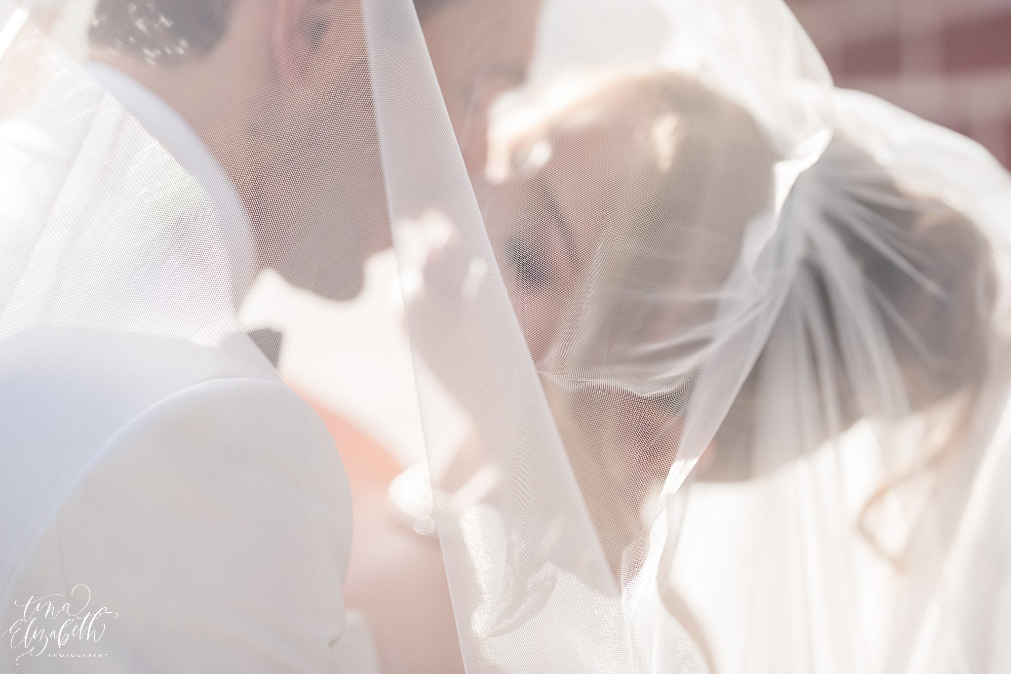 Lucien's Manor Wedding Photos