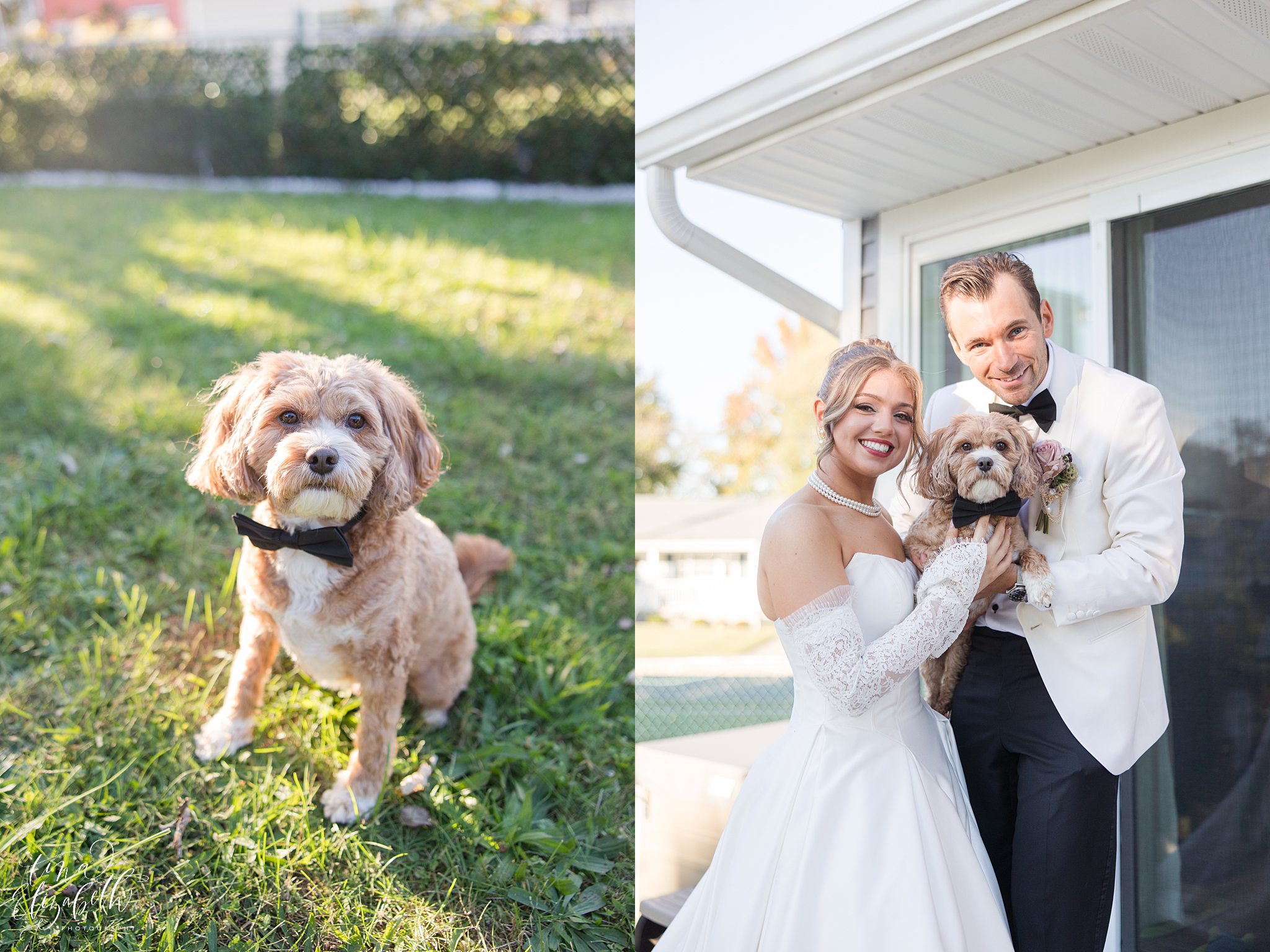 Lucien's Manor Wedding Photos